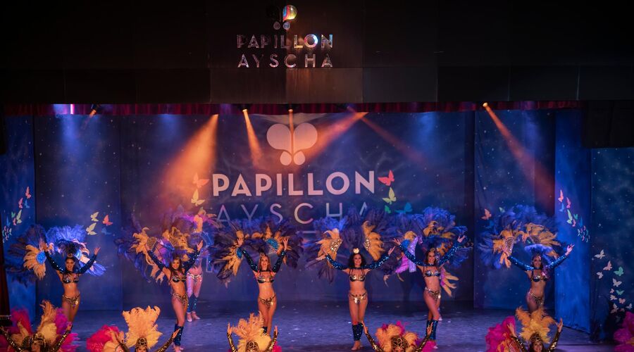 Papillon Ayscha