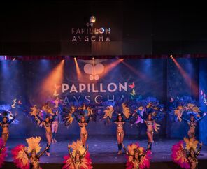 Papillon Ayscha