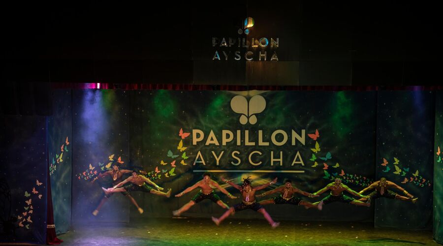 Papillon Ayscha