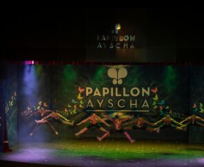 Papillon Ayscha