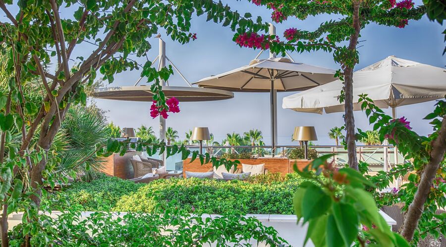 Tui Blue Belek ( Adults Only +16)